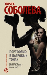 Книга Портфолио в багровых тонах Книга Портфолио в багровых тонах