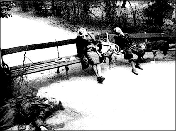 Иллюстрация к книге — &quot;Крестовый поход на Восток&quot;. Гитлеровская Европа против России [_221.jpg]