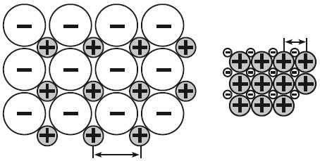 Иллюстрация к книге — Верхом на бомбе. Судьба планеты Земля и ее обитателей [i_007.jpg]