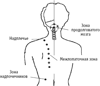 Большой атлас целительных точек. Китайская медицина на страже здоровья и долголетия