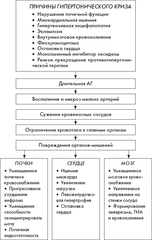 Иллюстрация к книге — Скорая помощь. Руководство для фельдшеров и медсестер [_13.jpg]