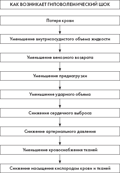 Иллюстрация к книге — Скорая помощь. Руководство для фельдшеров и медсестер [_18.jpg]
