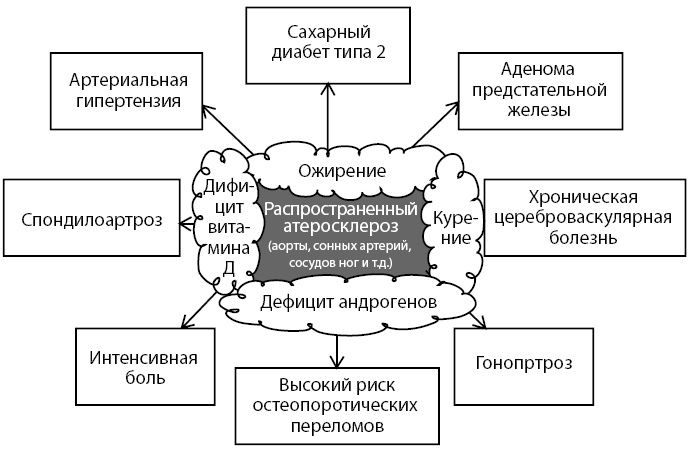 Иллюстрация к книге — Остеопороз. Руководство для практических врачей [i_008.jpg]