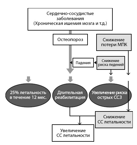 Иллюстрация к книге — Остеопороз. Руководство для практических врачей [i_035.jpg]