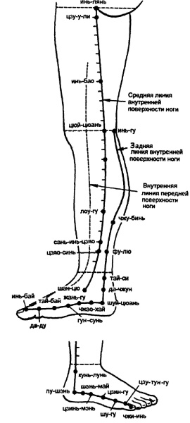 Все про массаж