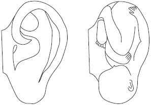 Иллюстрация к книге — Су-Джок. Самодиагностика и лечение [Autogen_eBook_id90.jpg]