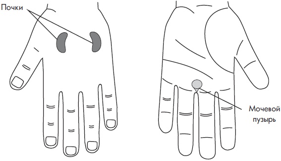 Иллюстрация к книге — Су-Джок. Самодиагностика и лечение [Autogen_eBook_id94.jpg]