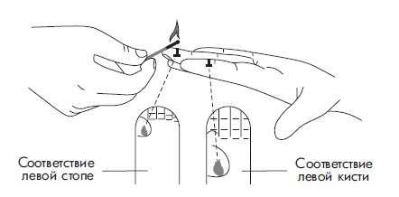Иллюстрация к книге — Шунгит, су-джок, вода - для здоровья тех, кому за... [Autogen_eBook_id44.jpg]