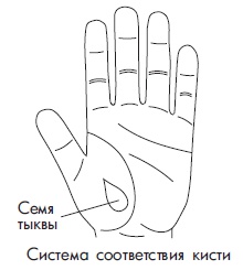 Иллюстрация к книге — Шунгит, су-джок, вода - для здоровья тех, кому за... [Autogen_eBook_id46.jpg]