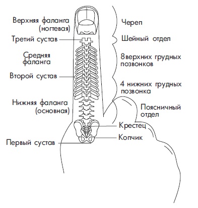 Иллюстрация к книге — Шунгит, су-джок, вода - для здоровья тех, кому за... [Autogen_eBook_id50.jpg]