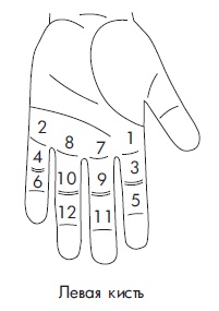 Иллюстрация к книге — Шунгит, су-джок, вода - для здоровья тех, кому за... [Autogen_eBook_id55.jpg]