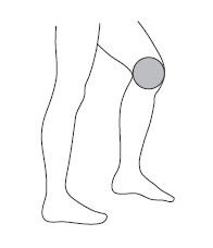 Иллюстрация к книге — Шунгит, су-джок, вода - для здоровья тех, кому за... [Autogen_eBook_id56.jpg]