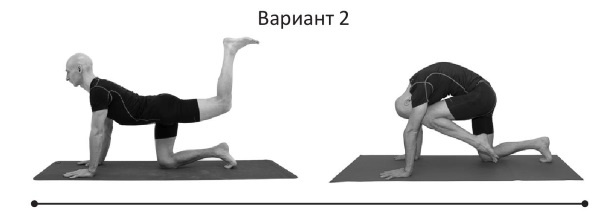 Иллюстрация к книге — Йогатерапия. Практическое руководство [i_244.jpg]