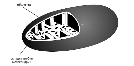 Иллюстрация к книге — Все дыхательные гимнастики. Для здоровья тех, кому за... [Autogen_eBook_id10.jpg]