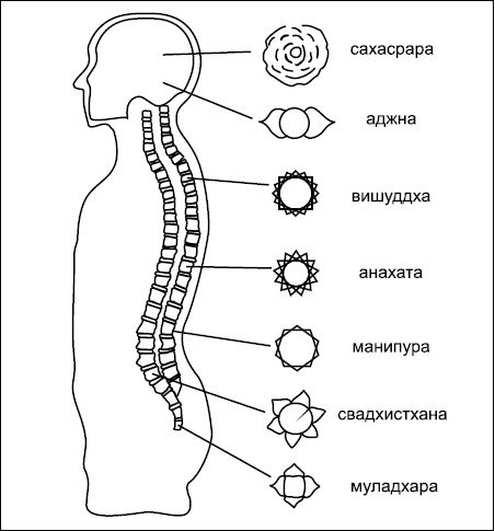 Иллюстрация к книге — Все дыхательные гимнастики. Для здоровья тех, кому за... [Autogen_eBook_id13.jpg]