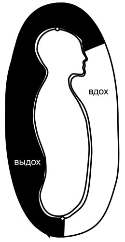 Иллюстрация к книге — Все дыхательные гимнастики. Для здоровья тех, кому за... [Autogen_eBook_id20.jpg]