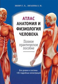 Книга Атлас. Анатомия и физиология человека Книга Атлас. Анатомия и физиология человека