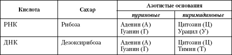 Иллюстрация к книге — Атлас. Анатомия и физиология человека [t01.jpg]