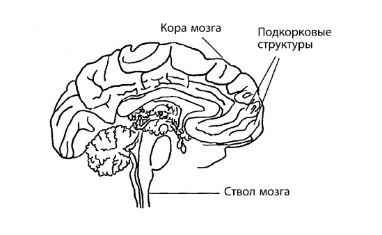 Иллюстрация к книге — Гиперактивный ребенок - это навсегда? Альтернативный взгляд на проблему [i_002.jpg]