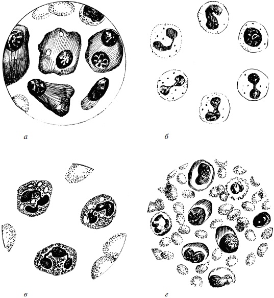 Иллюстрация к книге — Полный медицинский справочник фельдшера [Autogen_eBook_id60.jpg]