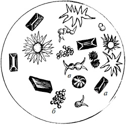 Иллюстрация к книге — Полный медицинский справочник фельдшера [Autogen_eBook_id67.jpg]