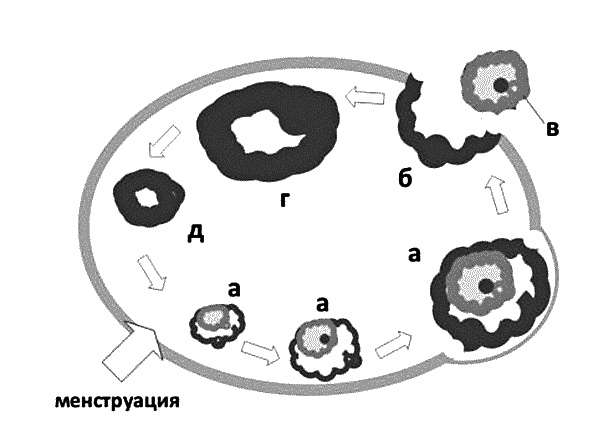 Иллюстрация к книге — Бесплодие – не приговор! [_01.jpg]