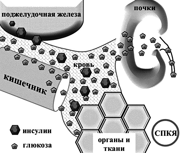 Иллюстрация к книге — Бесплодие – не приговор! [_11.jpg]