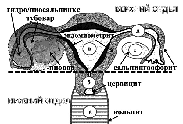 Иллюстрация к книге — Бесплодие – не приговор! [_16.jpg]