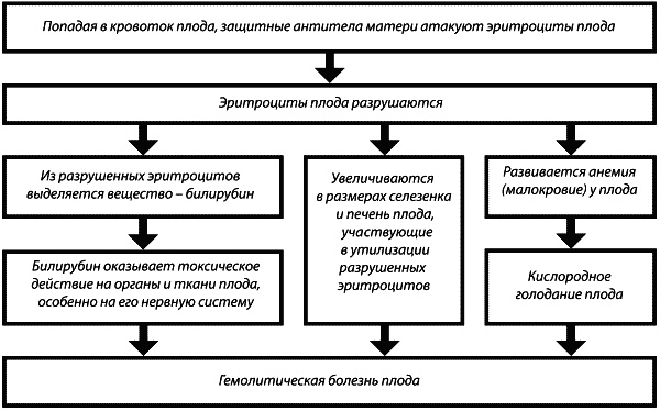 Иллюстрация к книге — Материнство. От зачатия до родов [tabl1.jpg]