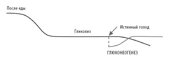 Иллюстрация к книге — Питание как основа здоровья. Самый простой и естественный способ за 6 недель восстановить силы организма и сбросить лишний вес [i_047.jpg]