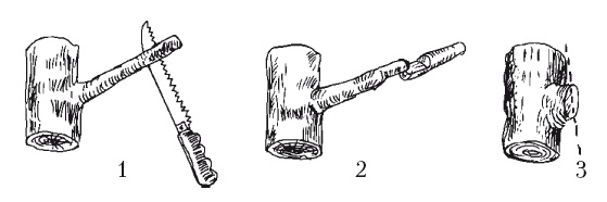 Иллюстрация к книге — Все об обрезке и прививке деревьев и кустарников [Autogen_eBook_id48.jpg]