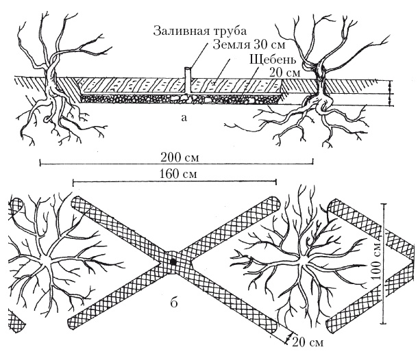 Иллюстрация к книге — Выращивание винограда [Autogen_eBook_id47.jpg]