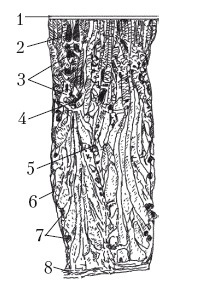 Иллюстрация к книге — Дождевые черви для повышения урожая [Autogen_eBook_id11.jpg]