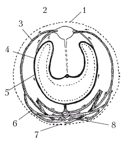 Иллюстрация к книге — Дождевые черви для повышения урожая [Autogen_eBook_id19.jpg]