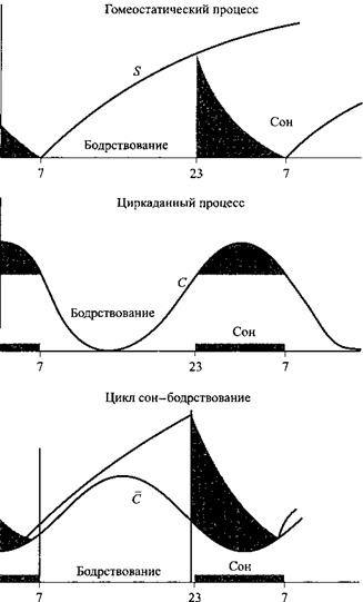 Иллюстрация к книге — Сон. Почему мы спим и как нам это лучше всего удается [i_011.jpg]