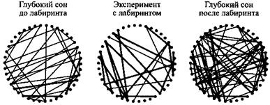Иллюстрация к книге — Сон. Почему мы спим и как нам это лучше всего удается [i_019.jpg]