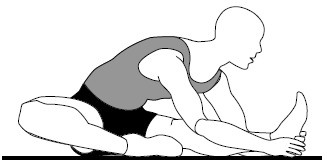 Иллюстрация к книге — Здоровые сосуды, или Зачем человеку мышцы? [Autogen_eBook_id21.jpg]