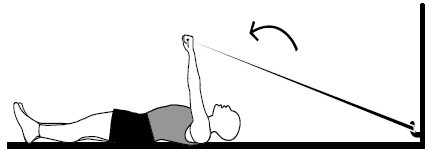 Иллюстрация к книге — Здоровые сосуды, или Зачем человеку мышцы? [Autogen_eBook_id39.jpg]