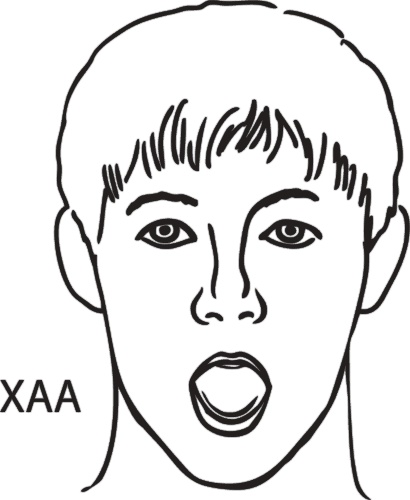 Иллюстрация к книге — Код здоровья сердца и сосудов [Autogen_eBook_id23.jpg]