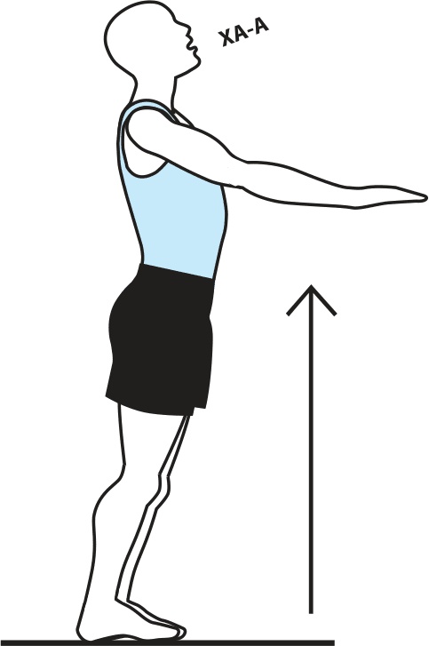 Иллюстрация к книге — Код здоровья сердца и сосудов [Autogen_eBook_id35.jpg]