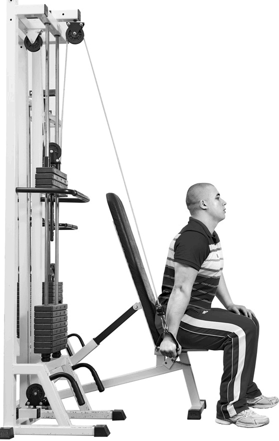 Иллюстрация к книге — Код здоровья сердца и сосудов [Autogen_eBook_id79.jpg]