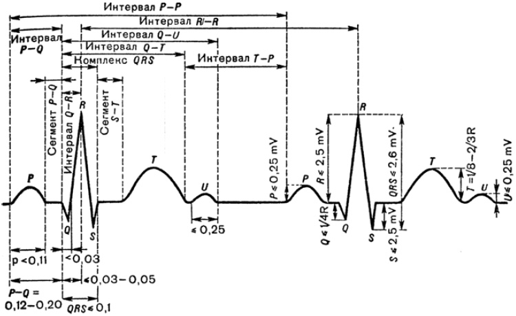 Иллюстрация к книге — Карманный справочник медицинских анализов [Autogen_eBook_id14.jpg]