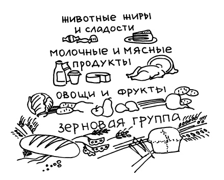 Иллюстрация к книге — Буду мамой! Все о беременности и первом годе жизни малыша. 1000 ответов на 1000 главных вопросов [i_029.jpg]