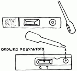 Иллюстрация к книге — 1001 вопрос будущей мамы. Большая книга ответов на все вопросы [i_002.jpg]
