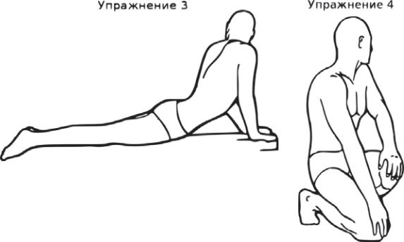 Иллюстрация к книге — Сыроедение против предрассудков. Эволюция в питании человека [i_024.jpg]