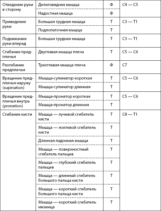 Иллюстрация к книге — Скульптурная гимнастика для мышц, суставов и внутренних органов [Autogen_eBook_id3.jpg]