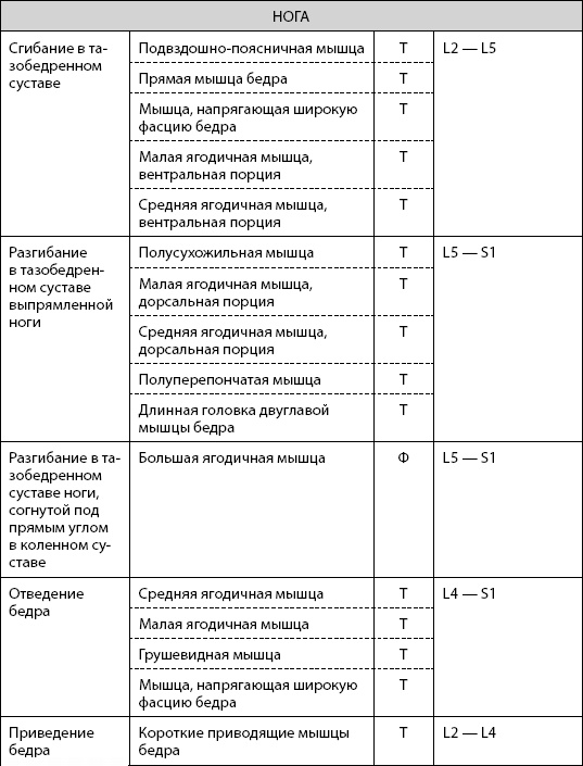 Иллюстрация к книге — Скульптурная гимнастика для мышц, суставов и внутренних органов [Autogen_eBook_id5.jpg]