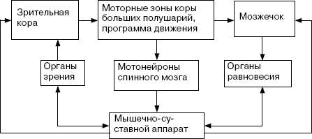Иллюстрация к книге — Человек в экстремальной ситуации [i_011.jpg]