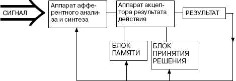 Иллюстрация к книге — Человек в экстремальной ситуации [i_012.jpg]