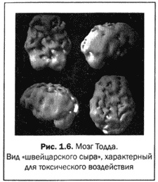 Иллюстрация к книге — Великолепный мозг в любом возрасте [img06.jpg]